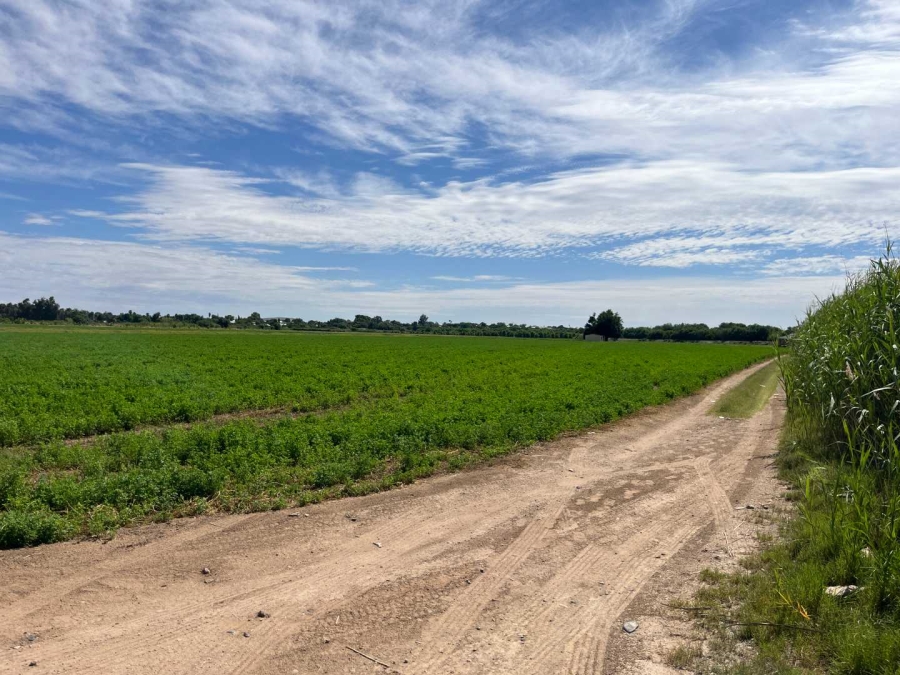 0 Bedroom Property for Sale in Middelpos Northern Cape